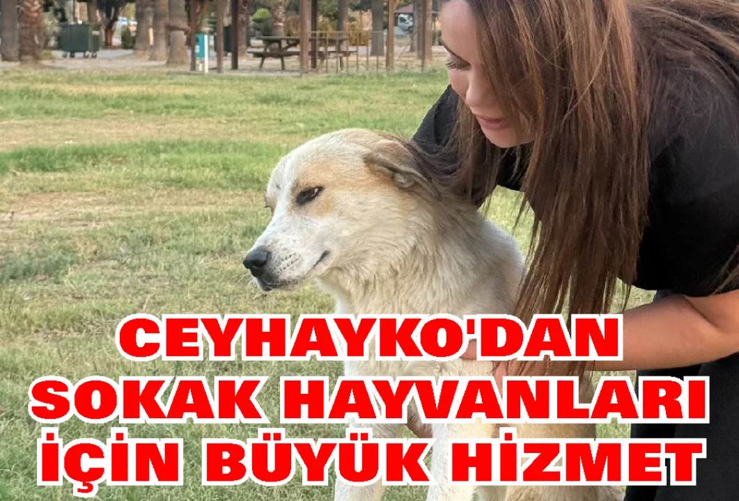 Ceyhan’da Hayvanseverlerden Örnek Çalışma