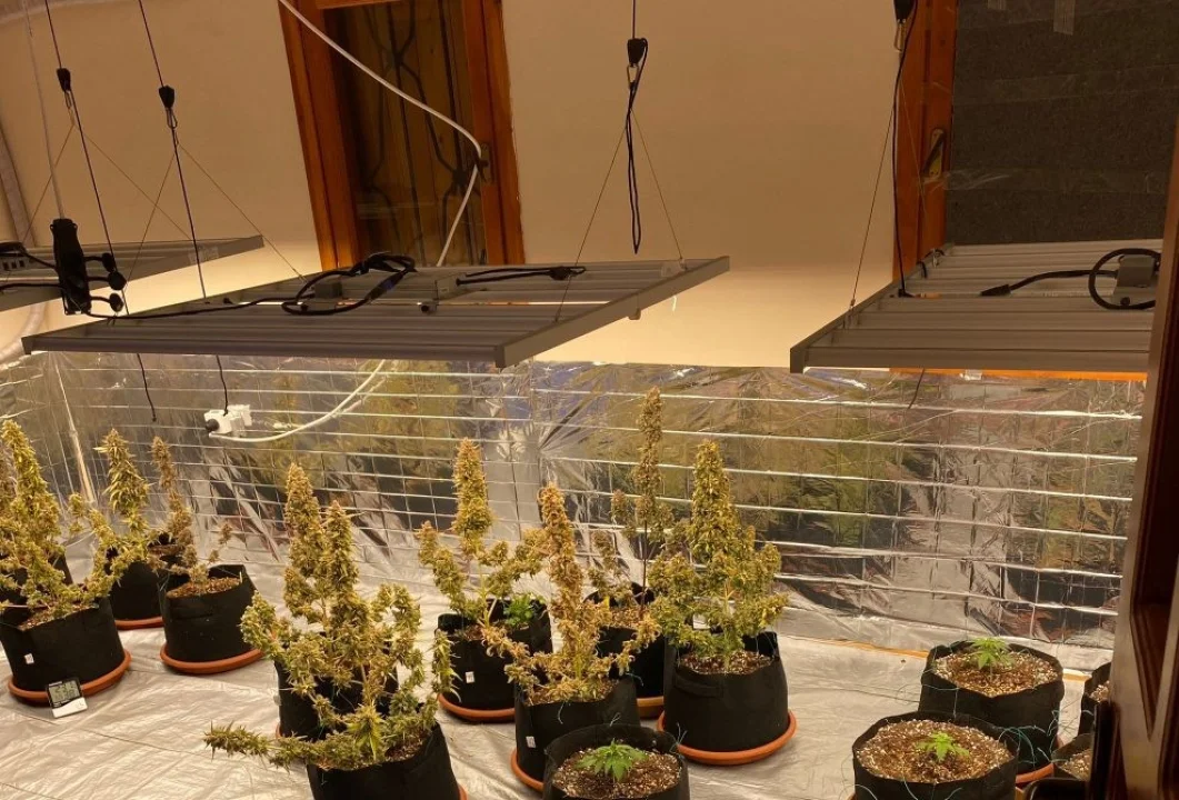 Yayla Villasında Esrar ve Kenevir Ele Geçirildi