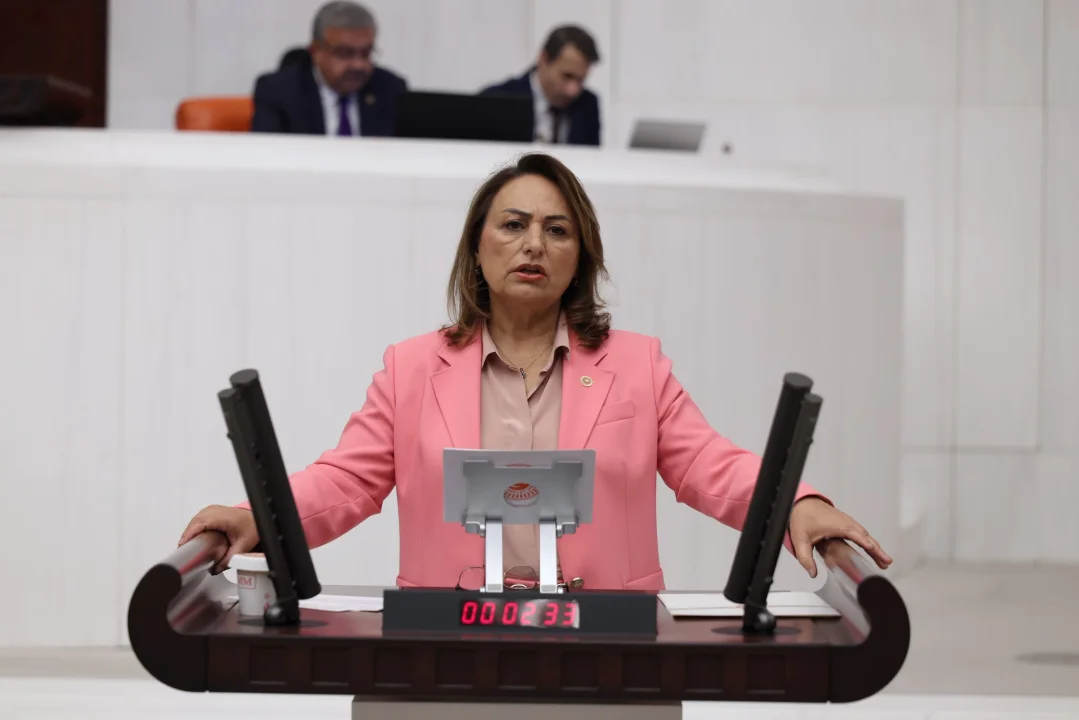 Müzeyyen Şevkin’den 1 Eylül Açıklaması: